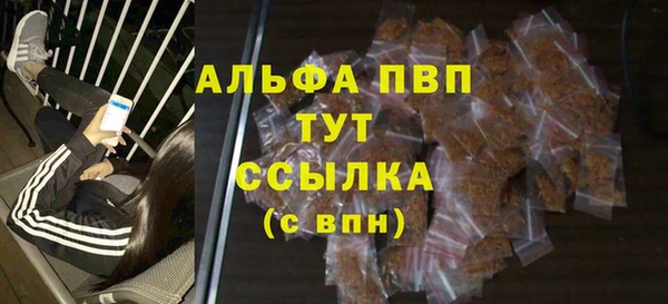 spice Аркадак