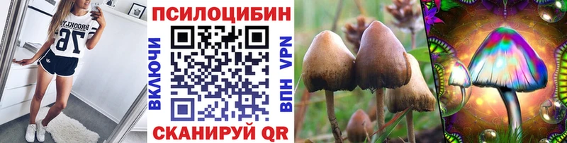Галлюциногенные грибы ЛСД  Лодейное Поле 